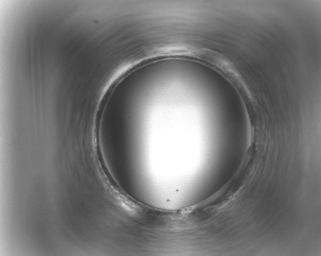 X0000066101328200603131220