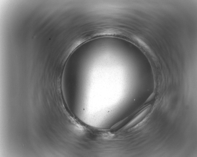 X0000066101329200603131220