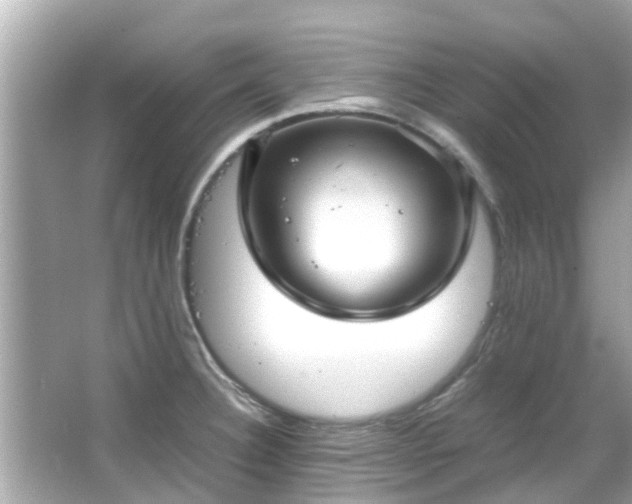 X0000066101332200603131220