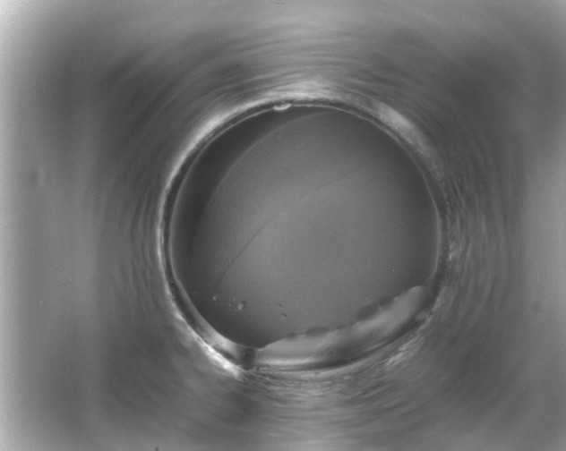 X0000066101334200603131220