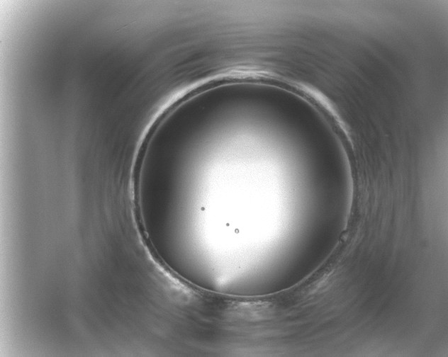 X0000066101335200603131220