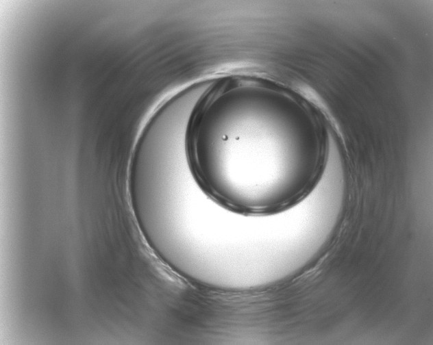 X0000066101336200603131220