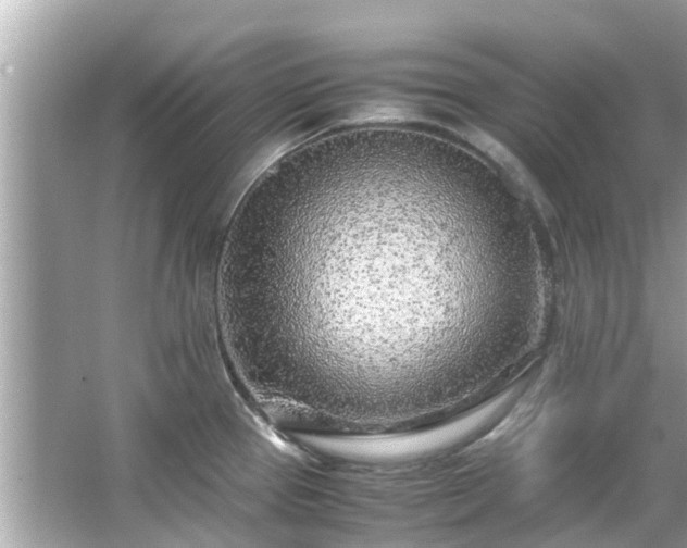 X0000066101337200603131220