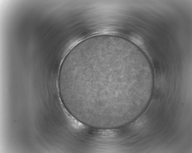 X0000066101338200603131220