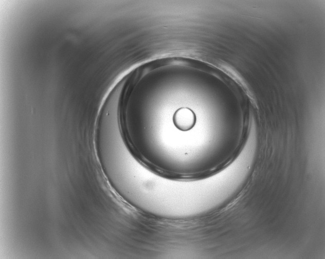 X0000066101340200603131220