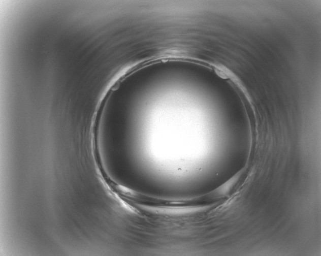 X0000066101341200603131220