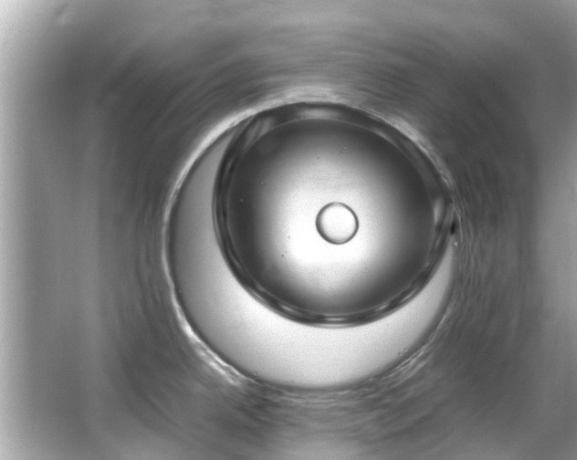 X0000066101342200603131220