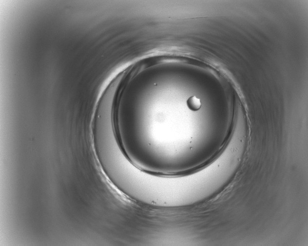 X0000066101344200603131220