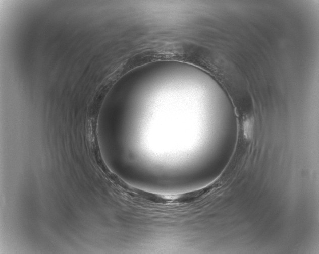 X0000066101347200603131219