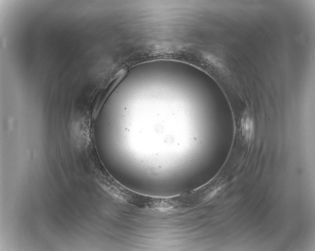 X0000066101348200603131219