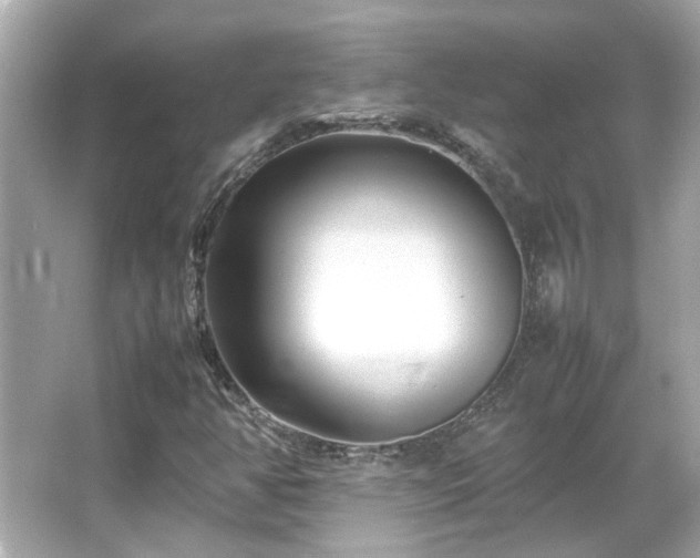 X0000066101350200603131219