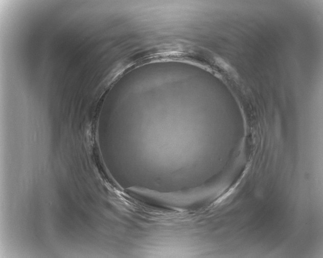 X0000066101353200603131219