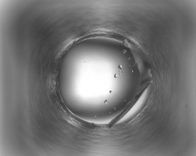 X0000066101355200603131219