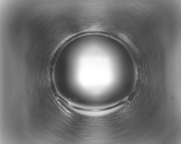 X0000066101356200603131219