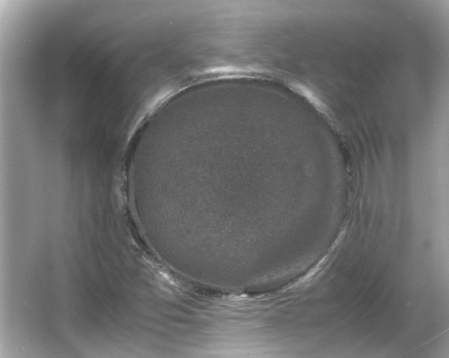 X0000066101357200603131219