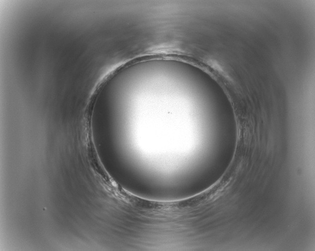 X0000066101358200603131219