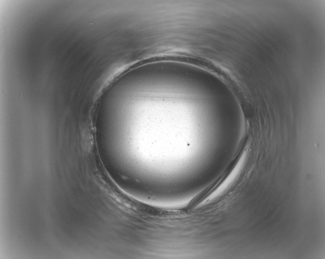 X0000066101363200603131219