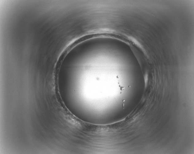 X0000066101364200603131219