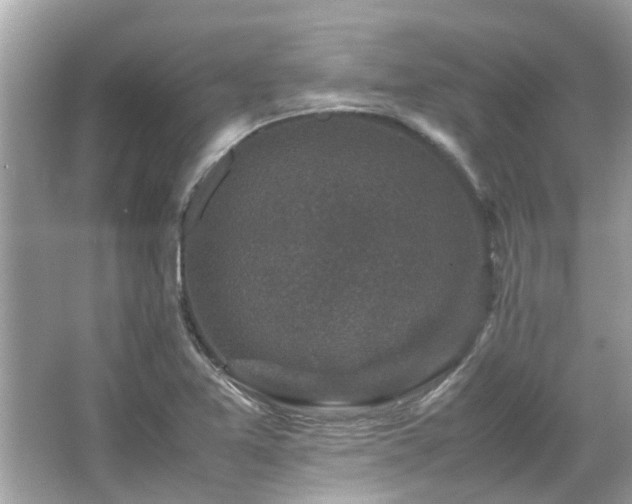 X0000066101365200603131219