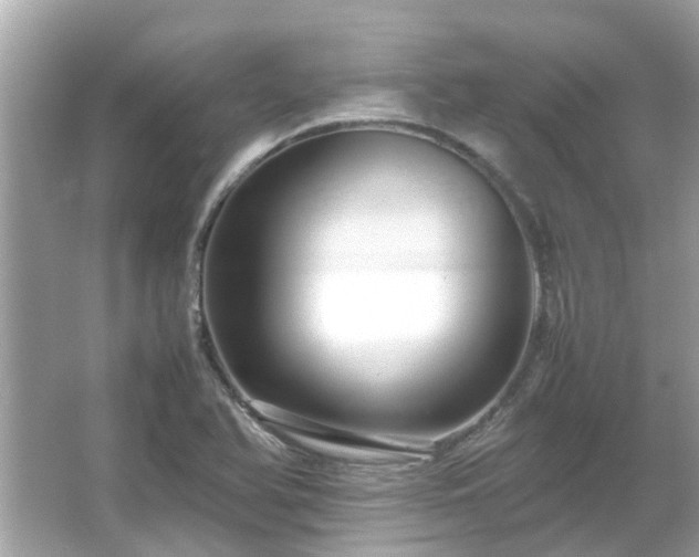 X0000066101366200603131219