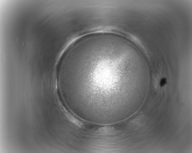 X0000066101368200603131219