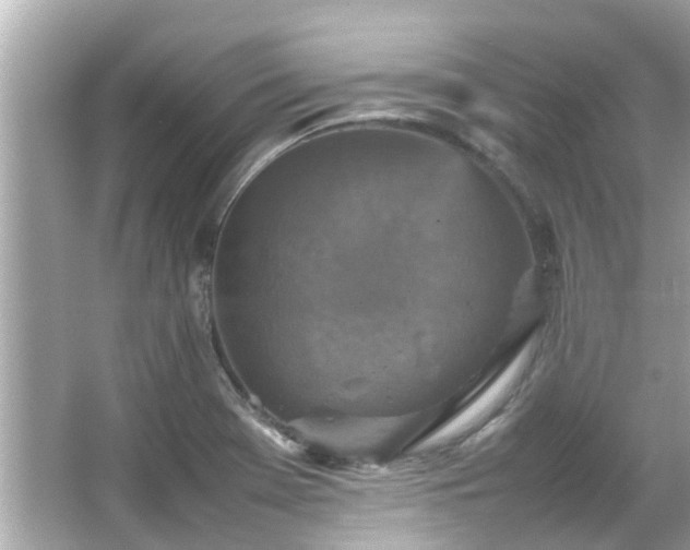 X0000066101369200603131219