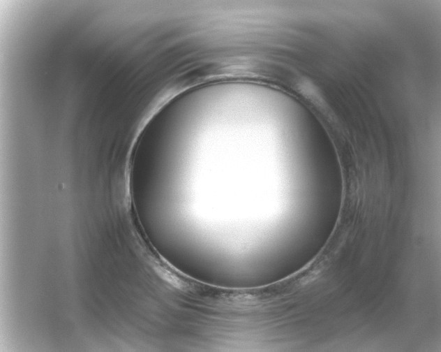 X0000066101370200603131219