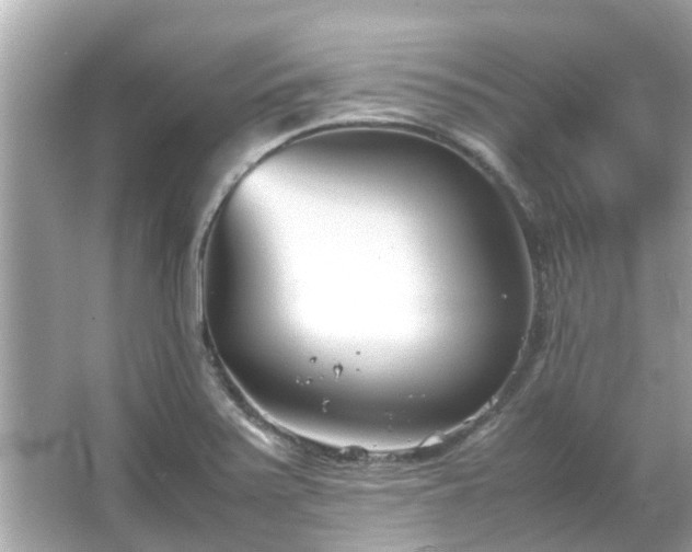 X0000066101371200603131219