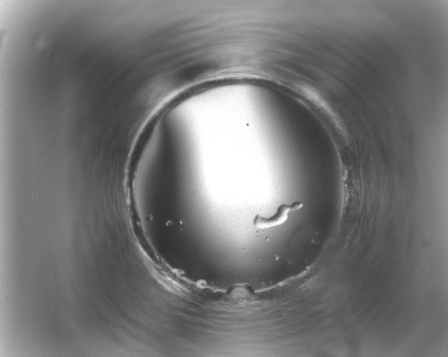 X0000066101372200603131219