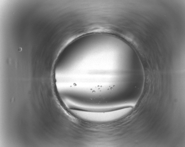 X0000066101375200603131219