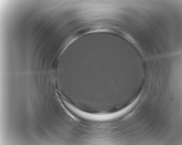 X0000066101377200603131219