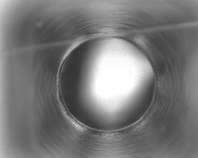 X0000066101378200603131219