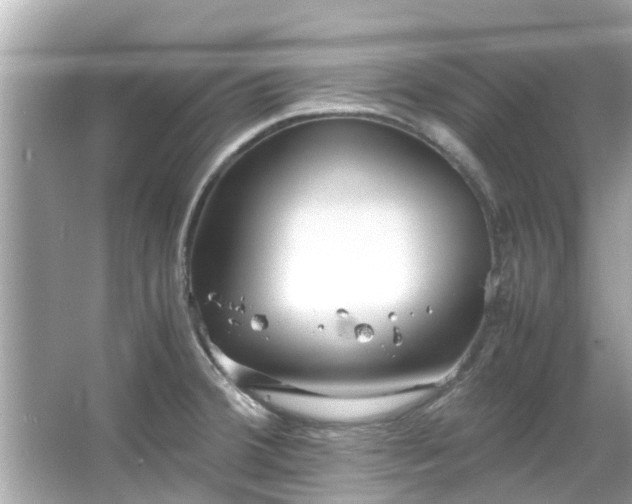 X0000066101380200603131218