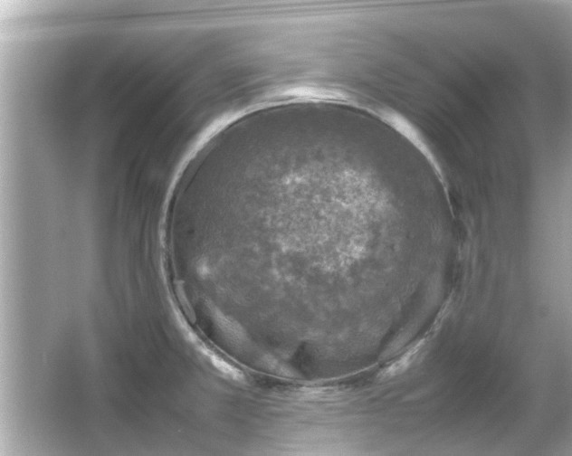 X0000066101381200603131218