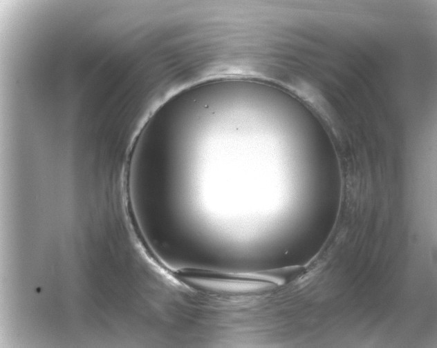 X0000066101382200603131218