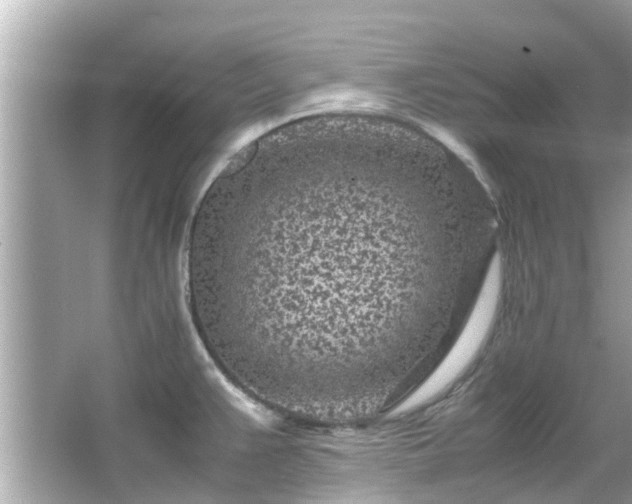 X0000066101383200603131218