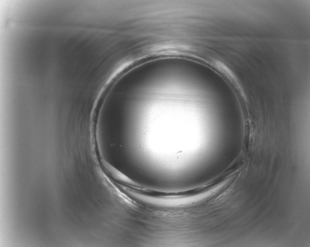 X0000066101384200603131218