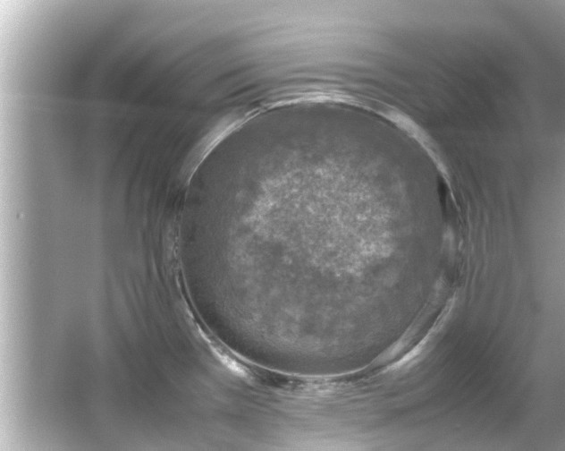 X0000066101385200603131218