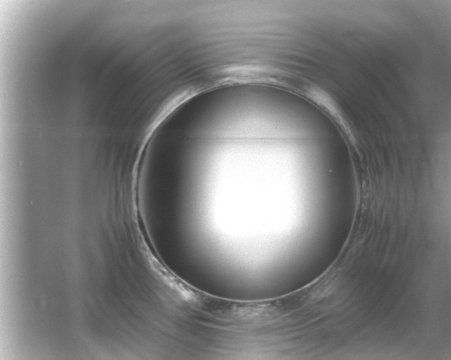 X0000066101386200603131218