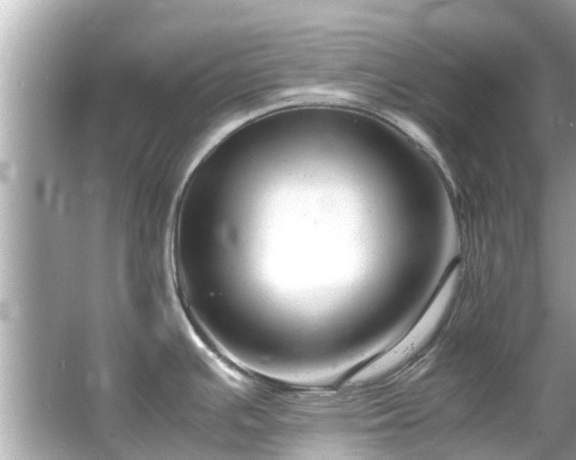 X0000066101391200603131218