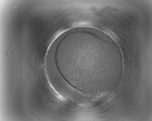 X0000066101392200603131218