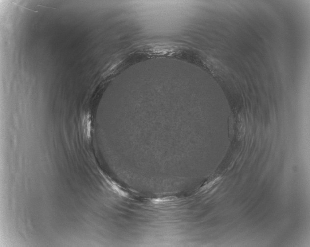 X0000066101394200603131217