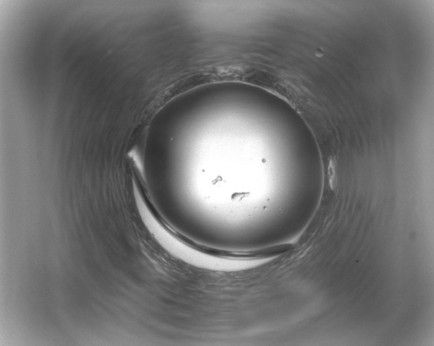 X0000066101395200603131217