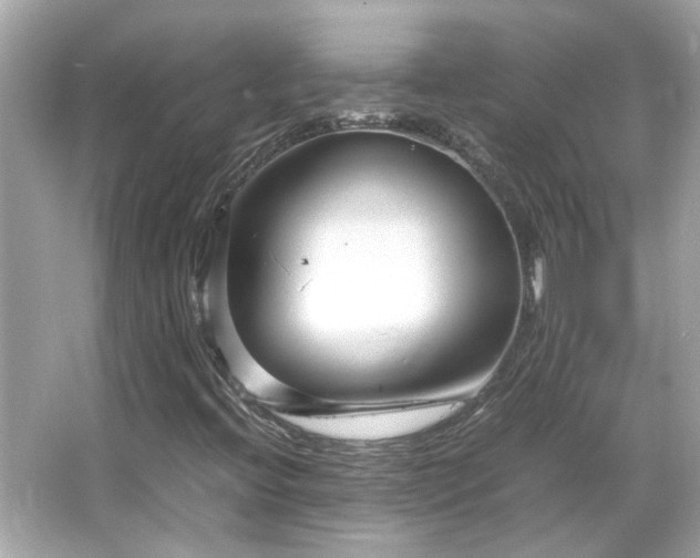 X0000066101396200603131217