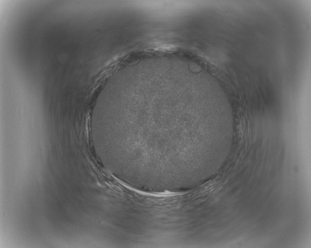 X0000066101397200603131218