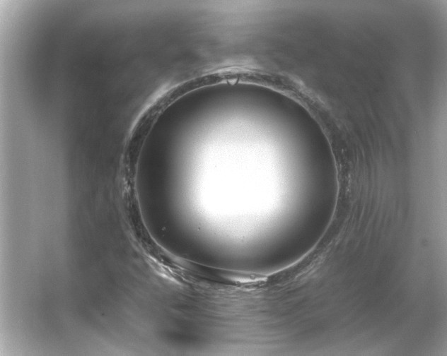 X0000066101400200603131218