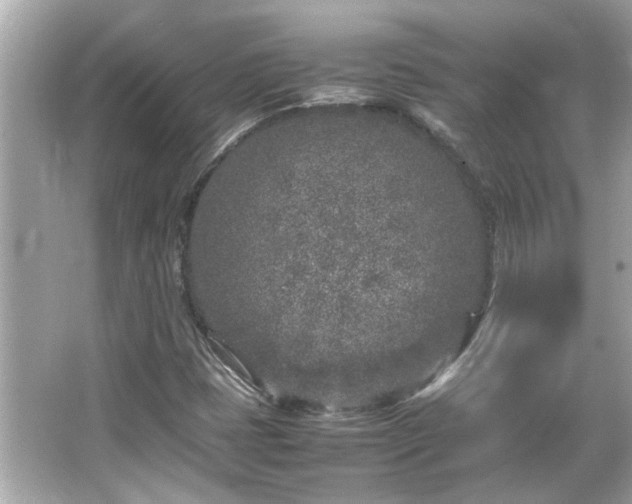 X0000066101401200603131218