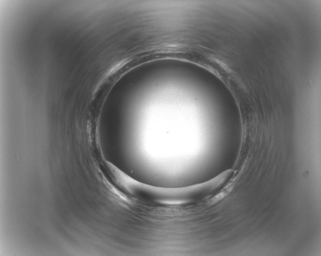 X0000066101402200603131218