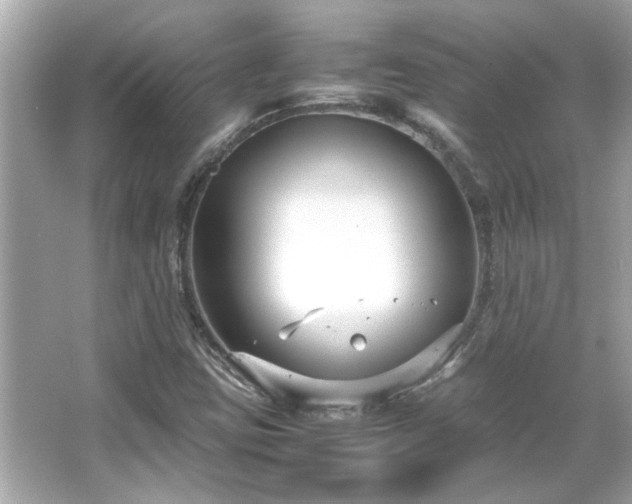 X0000066101403200603131218