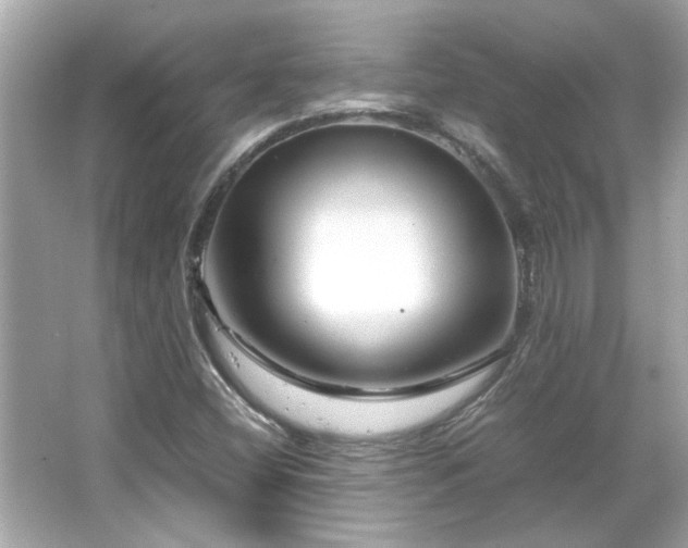 X0000066101404200603131218